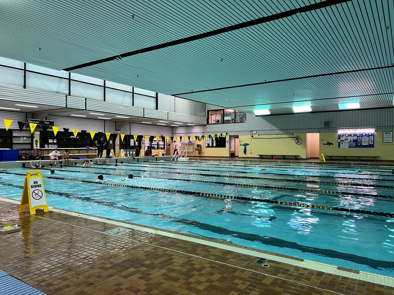 Dalplex