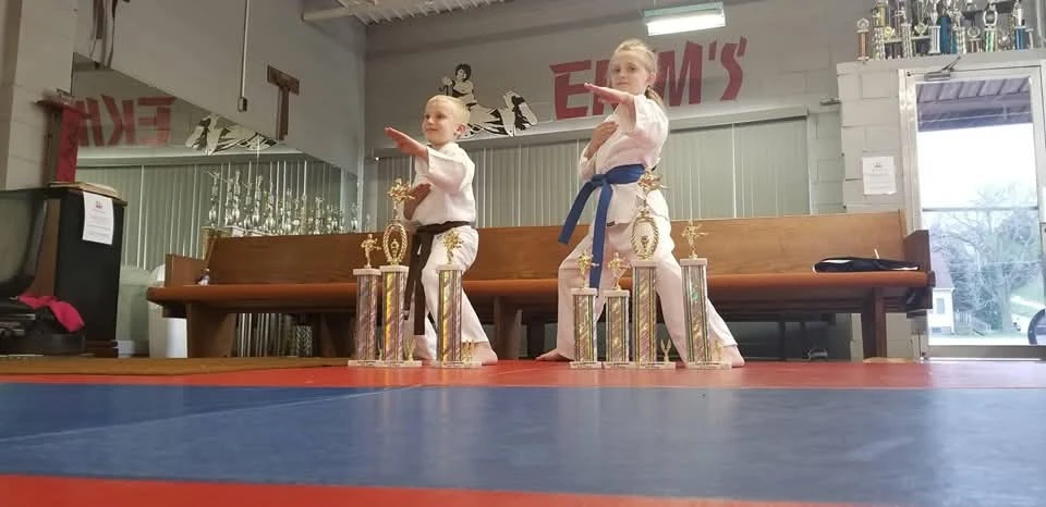 Ekims Karate Kickboxing and Mma