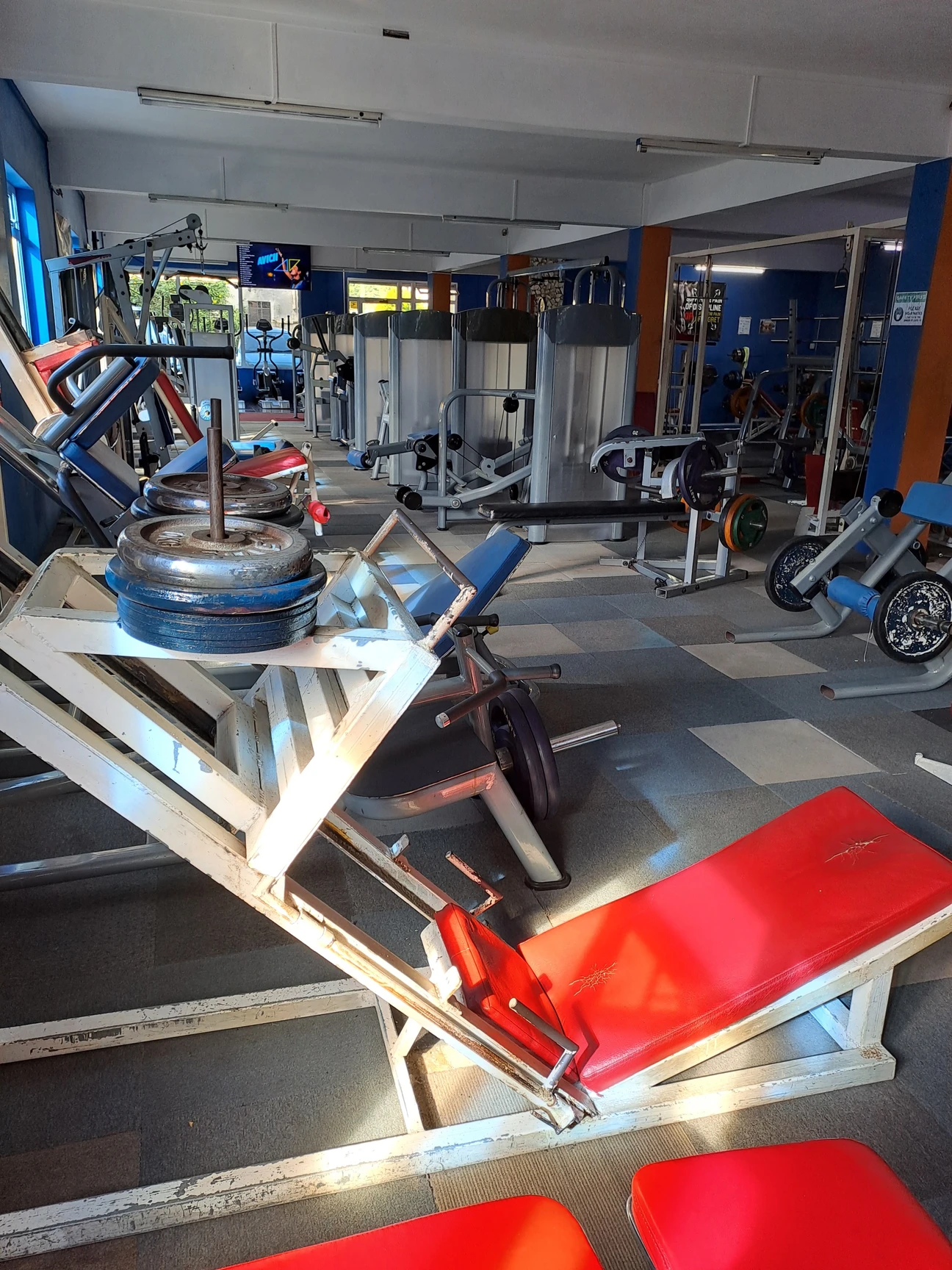 Best Physique Gym