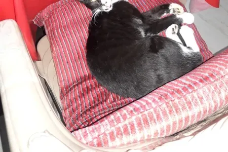 Centre Mieux Vivre Quatre Bornes