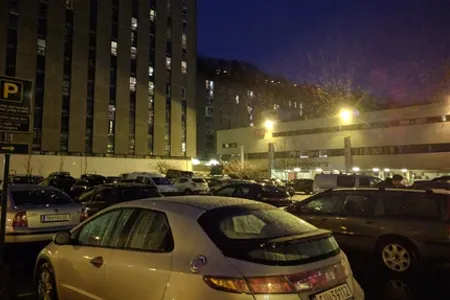 Trene Sammen Fantoft