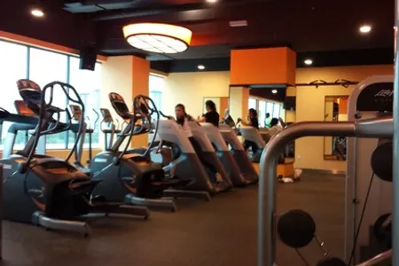 Celebrity Fitness - Dpulze