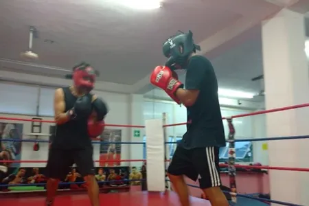 Gladiadores De Chichén Itzá Academia De Boxeo