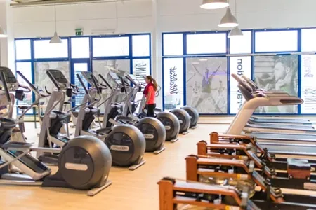 Active and healthy Ingelheim