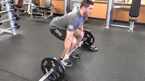 Barbell Squat