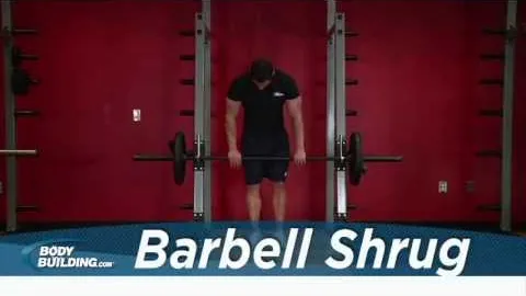 BARBELL Shrug