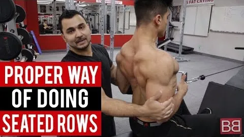 Seated cable row