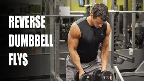 Bent Over Dumbbell Reverse Fly