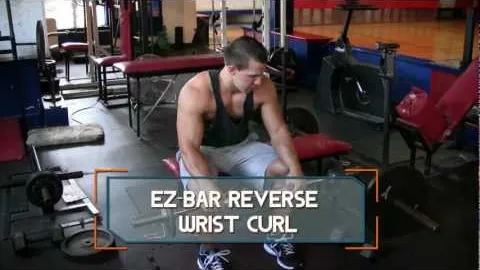 EZ bar Reverse wrist curl