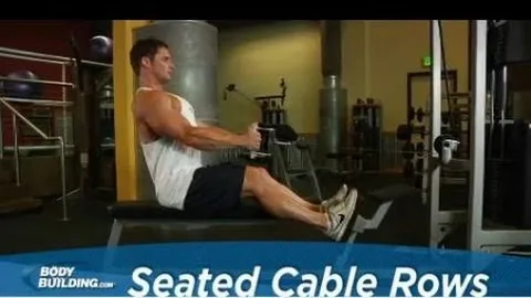 Seated cable row