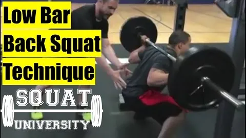 Barbell Squat