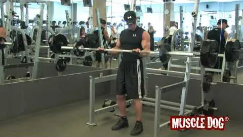 Barbell Biceps Curl