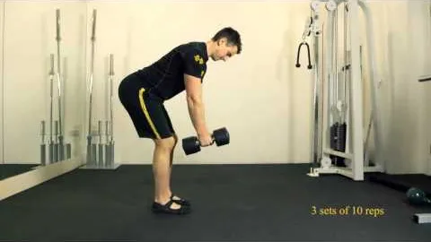 Standing Underhand Grip Bent Over Dumbbell Row