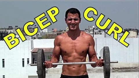 Barbell Biceps Curl