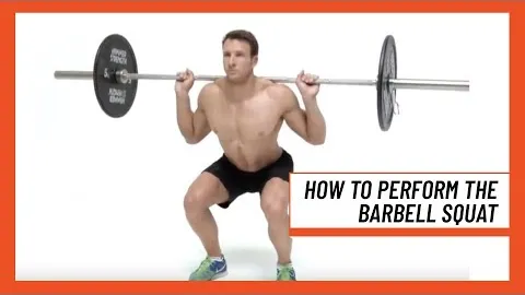 Barbell Squat