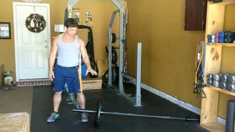 Landmine Rear Deltoid Row