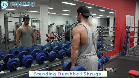 Dumbbell Shrug