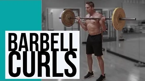 Barbell Biceps Curl