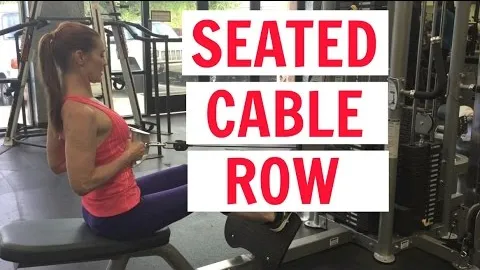 Seated Cable Row V Grip